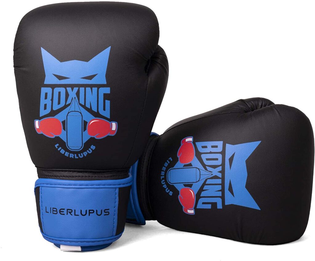 Best Budget Boxing Gloves in 2021 Boxing Ultimate guide Sports Zone